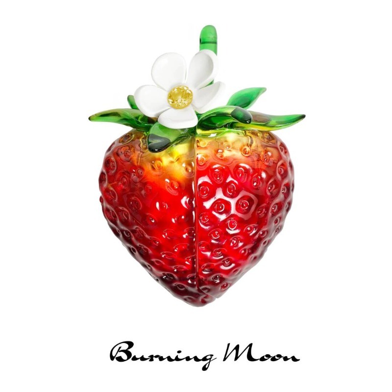 Strawberry Huller - Aardbei oordopjeshoes voor Airpods Pro1/2/3 Airpods4