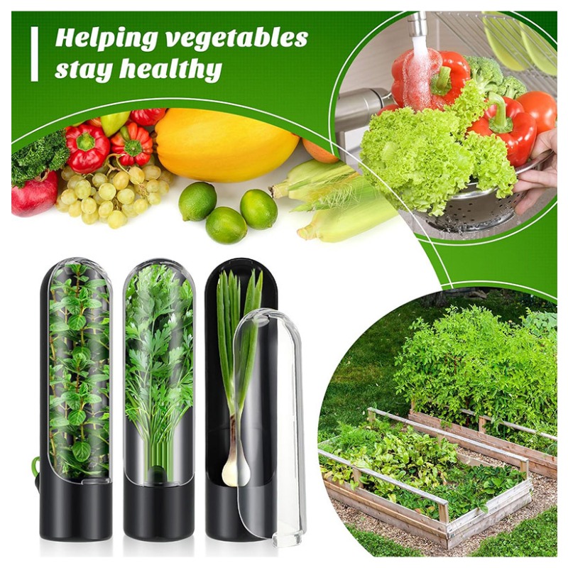 Herb Keeper Bottle - 1/2/3 stuks kruidenbewaardoosje, vers kruidenhouder, vanille-groenten
