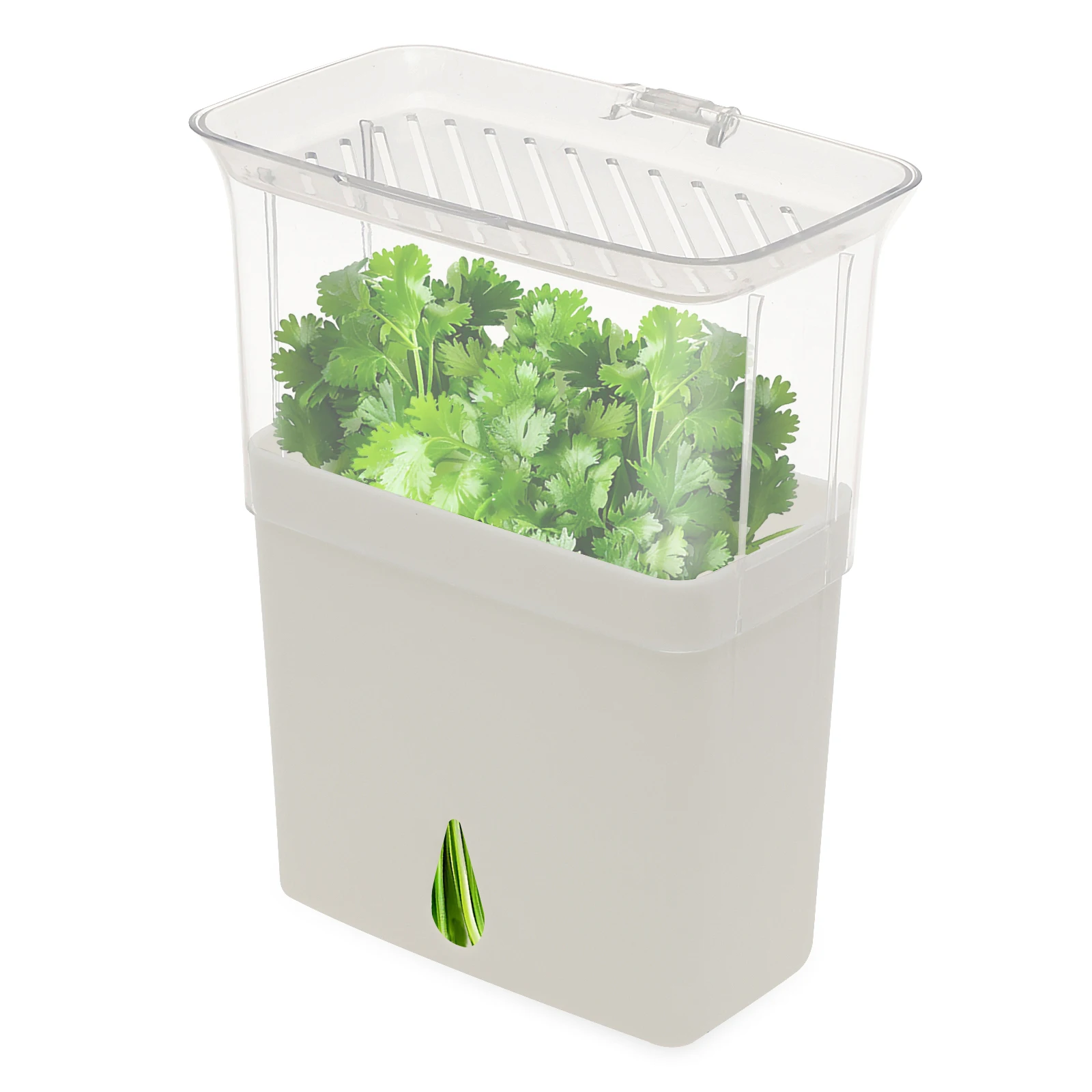 Herb Keeper Bottle - Doorzichtige kruidenbewaarbak, luchtdichte kruidenhouder voor de