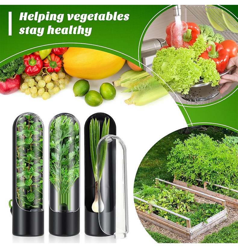Herb Keeper Bottle - Groenten Verse Behoud Fles Kruid Saver